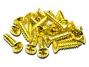 Mojotone Pickguard Screws Gold